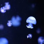 Στη Σιγκαπούρη το παρκούρ δεν είναι μόνο για εφήβους