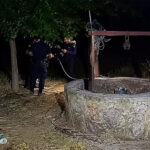 Επιστρέφουν στα καμένα σπίτια τους στο Πόρτο Γερμενό – Ο νεαρός που συγκλονίζει: «Λεφτά να το φτιάξουμε δεν υπάρχουνε»