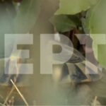 Η πύρινη λαίλαπα «κατάπιε» το Πόρτο Γερμενό – Συγκλονιστικές εικόνες από drone