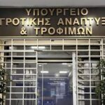 Έρευνα ΙΕΛΚΑ: Μειωμένες οι τιμές στα σουπερμάρκετ τον Ιούλιο