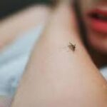 Κυψέλη: Προφυλακίστηκαν οι γονείς του βρέφους και ο Αφγανός μετά την απολογία τους – Τι συνεχίζουν να ισχυρίζονται