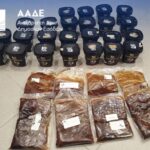Η Σητεία αποχαιρέτησε τον Γιώργο Μαζωνάκη με τα τραγούδια του – Το μνημόσυνο στους Πεύκους και η αφιέρωση του Πάριου
