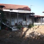 Οχιά δάγκωσε 42χρονο στη Ναύπακτο – Στο νοσοκομείο ο άνδρας