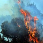 Γιώργος Μαζωνάκης: Πού επικεντρώνονται οι έρευνες για τον θάνατό του