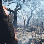 Νέο βίντεο ντοκουμέντο από τη συντριβή του Phantom στην Τανάγρα: Φλεγόμενα συντρίμμια εκτοξεύονται σε απόσταση αρκετών μέτρων