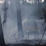 Θέουτα: Βίντεο προκαλεί οργή – Καταγγελίες ότι μετανάστες χτύπησαν μέχρι θανάτου μικρό δελφίνι