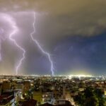 Ο εγκέφαλος μιας μύγας κρύβει το μυστικό της ανθρώπινης συμπεριφοράς Αναστασία Σταματιάδου