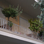 Συναγερμός για τον ιό του Δυτικού Νείλου: Τα κρούσματα και οι ψεκασμοί – Πόσο αυξήθηκαν στην Αττική το 2026