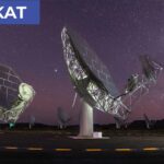 Ντομάτα και εγκέφαλος: Τι συνέβη σε όσους έτρωγαν πελτέ κάθε μέρα για 3 μήνες Αναστασία Σταματιάδου