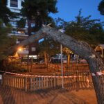 Στόχος 1 εκατ. Ινδοί τουρίστες τον χρόνο να επισκέπτονται την Ελλάδα – Τι αποκαλύπτει στον «ΕΤ» ο Νικόλαος Καβαλιέρος 