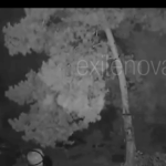 Φωτιά σε υπόγειο διαμέρισμα στην Αθήνα – Προληπτική απομάκρυνση ενοίκων