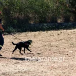 Κυκλοφοριακές ρυθμίσεις στην Αττική: Ποιος δρόμος κλείνει για 3 ώρες το Σάββατο
