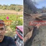 Στη φυλακή ο Βασίλης Παϊτέρης – Παραβίασε τον περιοριστικό όρο της κατ’ οίκον έκτισης της ποινής του