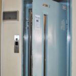 Νέα Έκθεση: «Άνθρωποι και Ζώα: μια πανάρχαια σχέση», 18 Νοεμβρίου 2026 έως 30 Απριλίου 2027