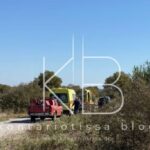 28η Οκτωβρίου: Έχει παραδοσιακό φαγητό η εθνική επέτειος;