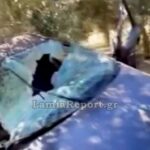 Νεκρός 42χρονος αστυνομικός εντός υπηρεσιακού λεωφορείου στη Θεσσαλονίκη – Έφερε τραύμα από πυροβόλο όπλο