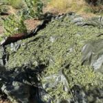 Έκτακτα μέτρα της Τροχαίας και απαγόρευση κίνησης φορτηγών στα εθνικά δίκτυα για την 28η Οκτωβρίου