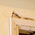 Ηλικιακή εκφύλιση ωχράς κηλίδας: Πρώτη αιτία νομικής τυφλότητας σε ποσοστό σχεδόν 50% για άτομα άνω των 80 ετών