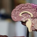 Απίστευτο περιστατικό με ΚΤΕΛ: Κατέβηκε για τουαλέτα και το λεωφορείο την ξέχασε στο Αίγιο