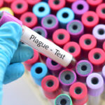 Ματίνα Παγώνη: Αύξηση στα κρούσματα Covid-19 και νοσηλειών – Πότε αρχίζει ο αντιγριπικός εμβολιασμός Newsroom