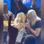 Άγρια κακοποίηση στην Ανδραβίδα: Βρήκαν σκύλο πυροβολημένο στο πρόσωπο – Φόβοι για δεύτερο εξαφανισμένο ζώο